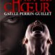 Couverture Haut le choeur de Gaëlle Perrin-Guillet