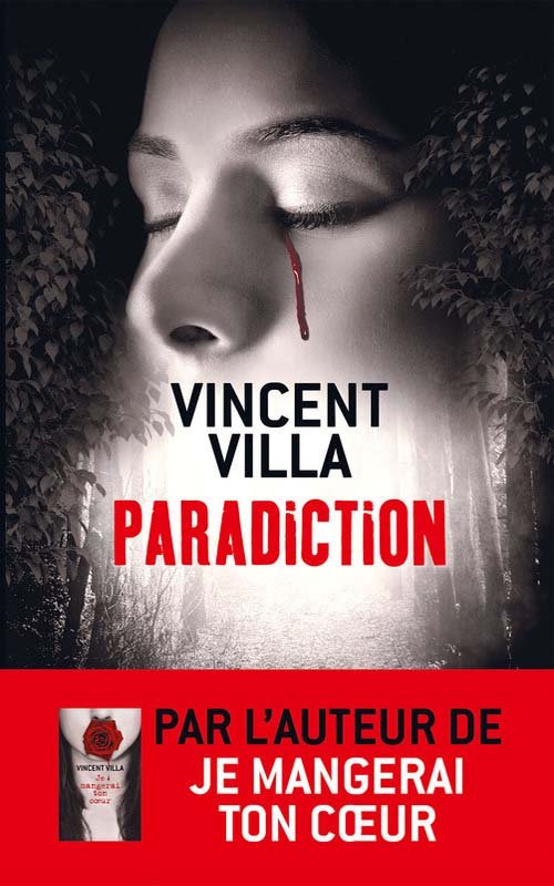 Couverture Paradiction de Vincent Villa