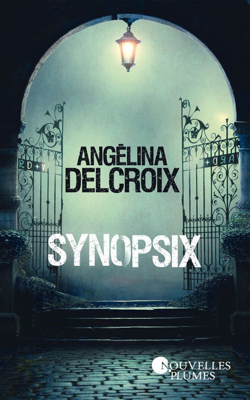 Couverture Synopsis d'Angélina Delcroix