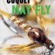 Couverture May fly de Gérard Coquet
