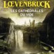 Couverture Les cathédrales du vide d'Henri Loevenbruck