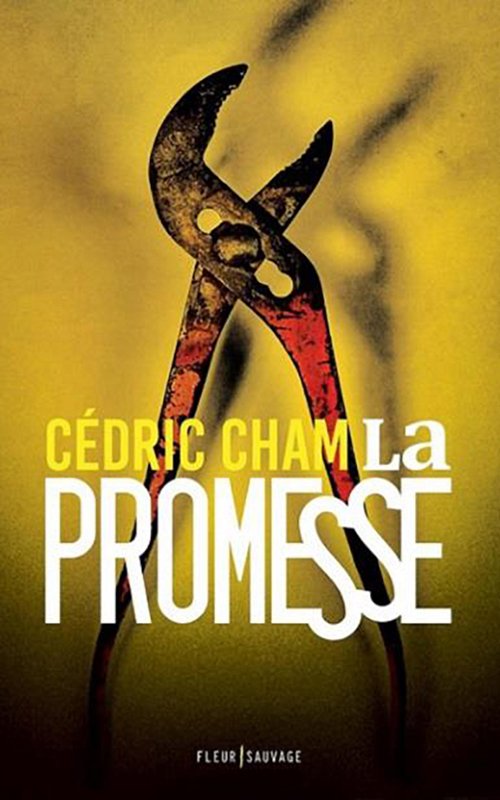 Couverture La promesse de Cédric Cham