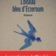 Couverture L'oiseau bleu de Ian Manook