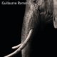 Couverture Le crépuscule des éléphants de Guillaume Ramezi