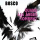 Couverture Quand les anges tombent de Jacques-Olivier Bosco