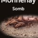 Couverture Max Monnehay - Somb