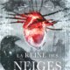 Couverture Simon Rousseau - La reine des neiges