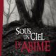 Couverture Steve Laflamme - Sous un ciel d'abîme