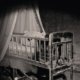 Couverture Clarence Pitz- Les enfants du serpent