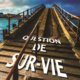 Isabelle Amonou & Michel Dréan - Question de sur-vie