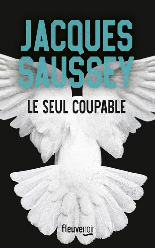 Jacques Saussey - Le seul coupable