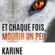 Karine Giebel - Et chaque fois mourir un peu