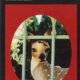 Louise Penny - Nature morte