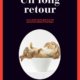 Louise Penny - Un long retour