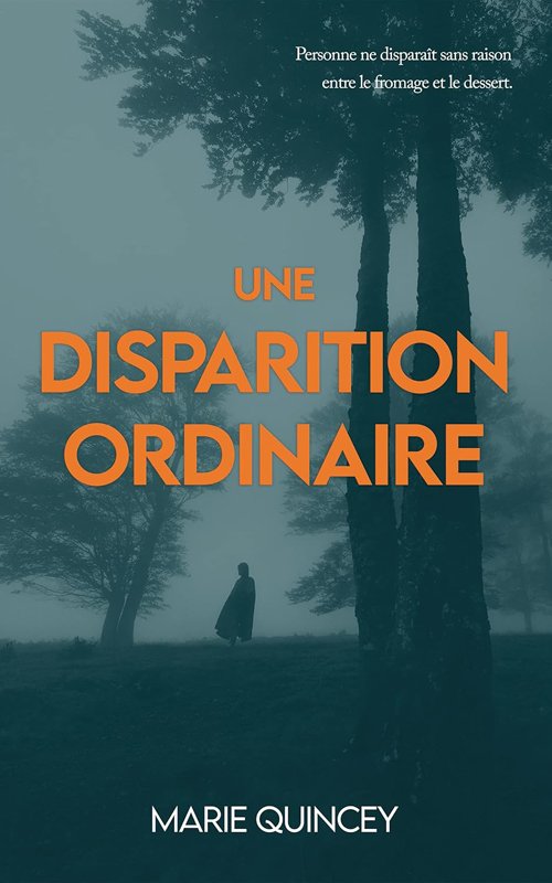 Marie Quincey - Une disparition ordinaire