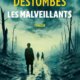 Sandrine Destombes - Les malveillants