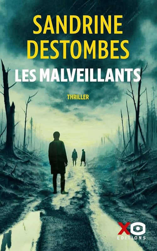 Sandrine Destombes - Les malveillants